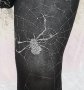 М Черен чорапогащник с паяци от сребрист брокат