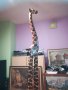ГОЛЯМ ЖИРАФ-1.5 МЕТРА-ВНОС ШВЕИЦАРИЯ 0311201714, снимка 8
