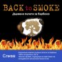 Дървени пелети за барбекю  Back to smoke - Слива, снимка 1 - Барбекюта - 36746686