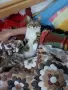 Подаряваме котенце , снимка 3