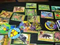 Различни фигурки и карти с животни, снимка 9