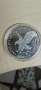 Сребърни монети  9999 1унция 31.1гр., снимка 8