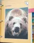 Чудният свят на животните, снимка 2
