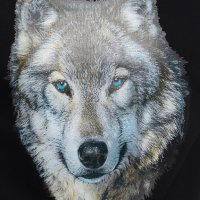 Нов мъжки суичър с трансферен печат Вълк със сини очи, Серия вълци, снимка 18 - Суичъри - 27757213