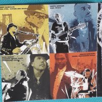 Robert Randolph & The Family Band ‎– 2006-Colorblind (blues-rock), снимка 2 - CD дискове - 44375190