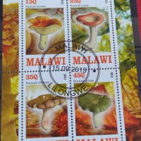 Пощенски марки чиста комплектна серия ГЪБИ 2013г. поща Малави за колекция 29802, снимка 5 - Филателия - 37689347