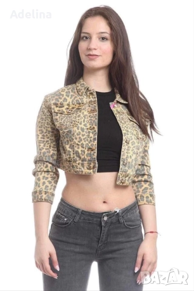 Къси якета, снимка 1