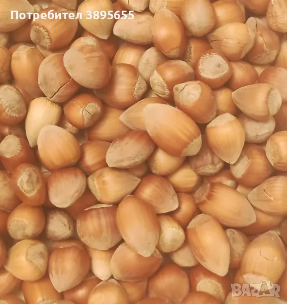 БИО Лешници "Дончеви" с черупка с БЕЗПЛАТНО начупване, снимка 1