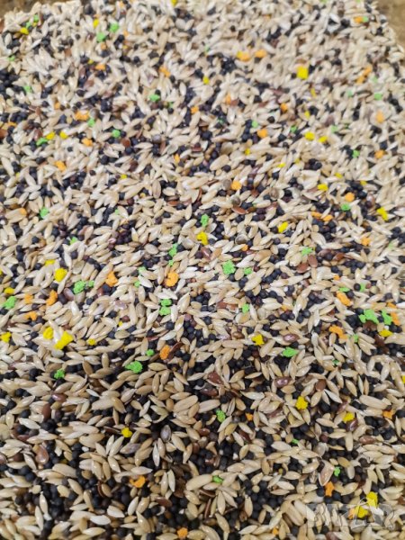 Смес/храна за канари класик, снимка 1