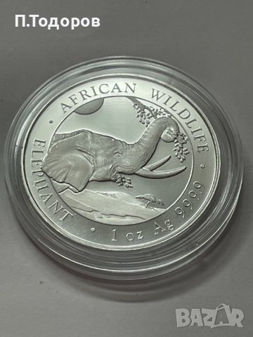 Сребро 1 oz Сомалийски Слон 2023, снимка 3 - Нумизматика и бонистика - 40706017
