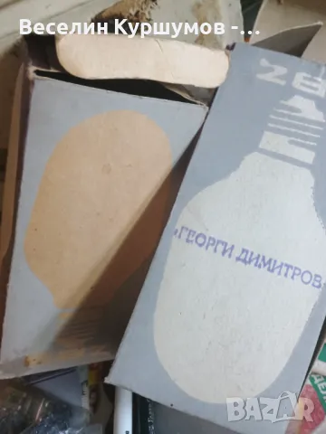 Глим крушка "Георги Димитров", снимка 2 - Крушки - 49263836