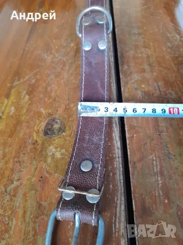 Стара кожена каишка за домашни животни #2, снимка 4 - Други ценни предмети - 49576184