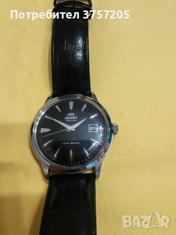 orient bambino