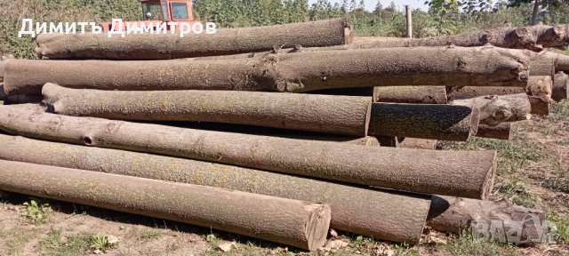 Трупи и дъски от Пауловния , снимка 2 - Строителни материали - 38438130