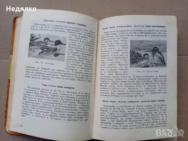 Книга за ловеца,1958г,3060бр. тираж, снимка 5 - Антикварни и старинни предмети - 35590790