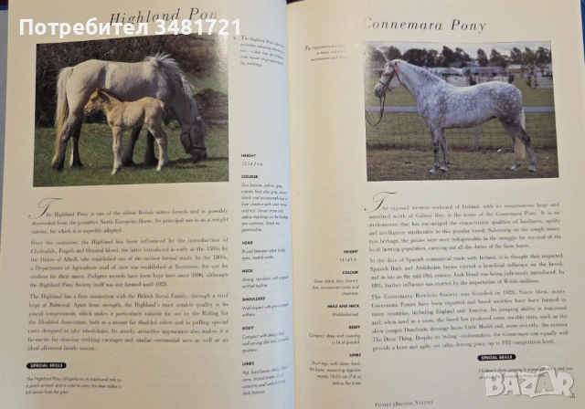 Hamlyn All Colour Guide to Horses, снимка 4 - Енциклопедии, справочници - 53251507