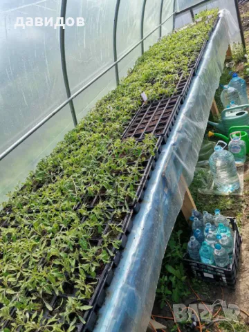Отопление за оранжерия, разсадник, маса за разсад , парник.Сушилня!, снимка 3 - Стайни растения - 34264703