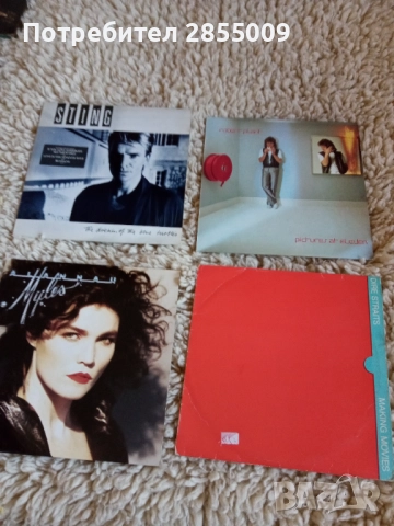 Грамофонни плочи, снимка 5 - Грамофонни плочи - 52402895