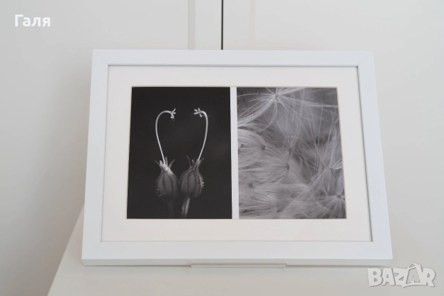 Фотография диптих, рамкирана, черно-бяла, снимка 2 - Картини - 52823586