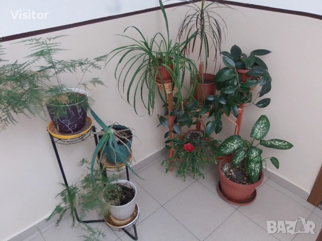 Olympus SP-720UZ 14 mPx, снимка 16 - Фотоапарати - 53227560