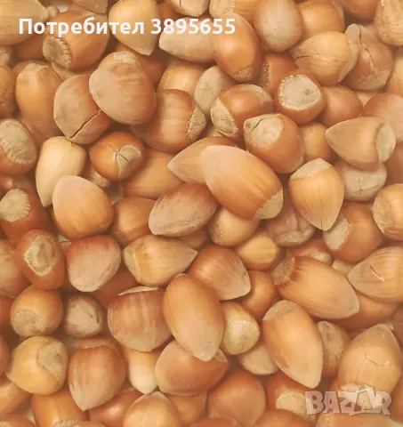 БИО Лешници "Дончеви" с черупка с БЕЗПЛАТНО начупване