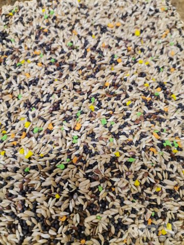 Смес/храна за канари класик