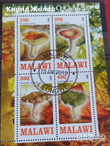 Пощенски марки чиста комплектна серия ГЪБИ 2013г. поща Малави за колекция 29802, снимка 5 - Филателия - 37689347