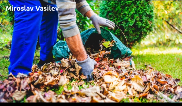 Поддръжка на зелени площи | Почистване на листа | Почистване на сняг, снимка 3 - Други почистващи услуги - 52960849