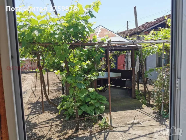 Къща в с. Обнова, снимка 5 - Къщи - 41137265