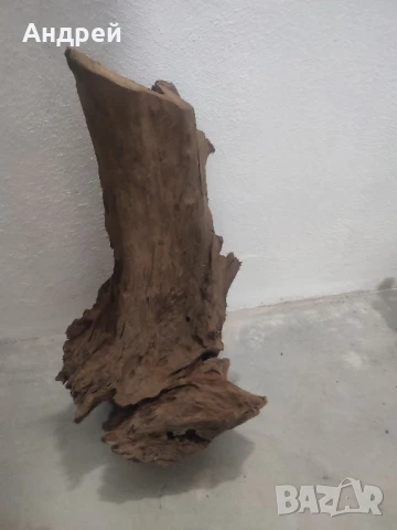 Огромни Мангров корен 50+см. 60 - 85лв. , снимка 6 - Оборудване за аквариуми - 51042014