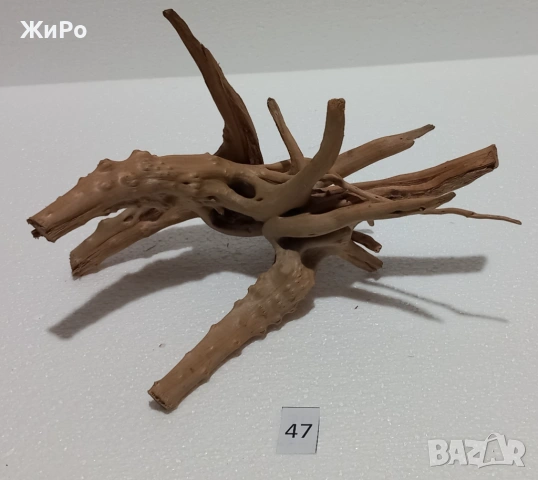 Корен от Азалия /декорация/ 47