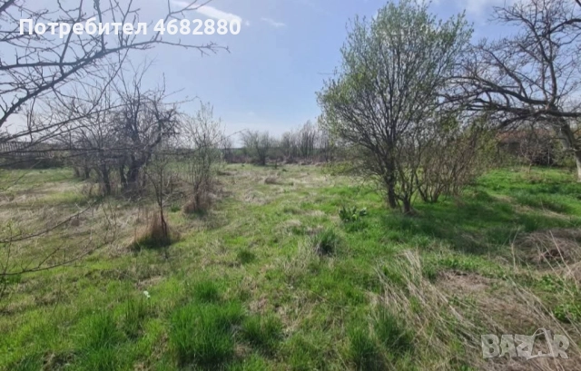 Къща с голям двор село Сухозем, обл. Пловдив, снимка 8 - Къщи - 52794824