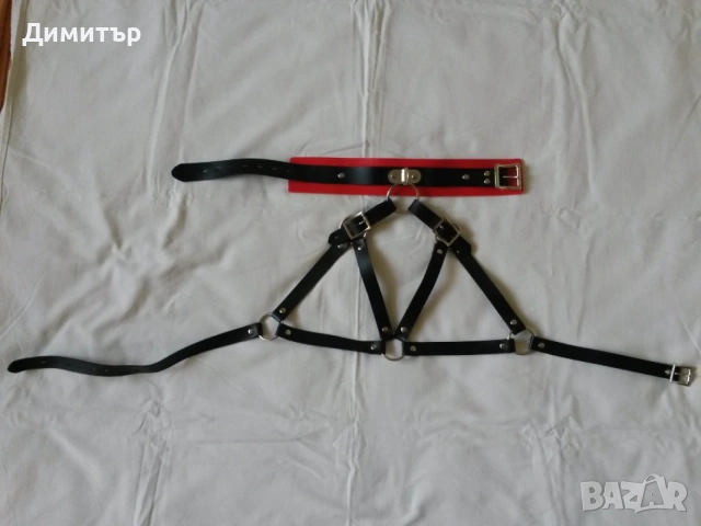 Харнес, нашийник, дантелена яка