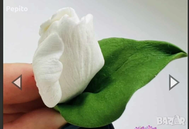 Нови молдове цветя, снимка 6 - Други - 52337636