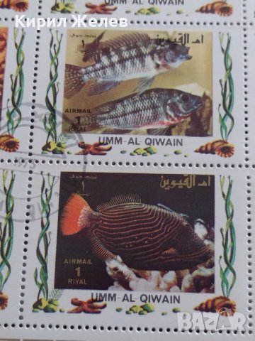 Пощенски марки серия ТРОПИЧЕСКИ РИБИ поща Кувейт много красиви за КОЛЕКЦИЯ 37884, снимка 9 - Филателия - 40476436