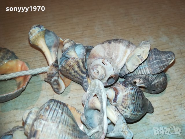 гердан от рапани 2811202032, снимка 15 - Колекции - 30944213