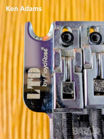 Floyd Rose, снимка 2 - Китари - 53922248