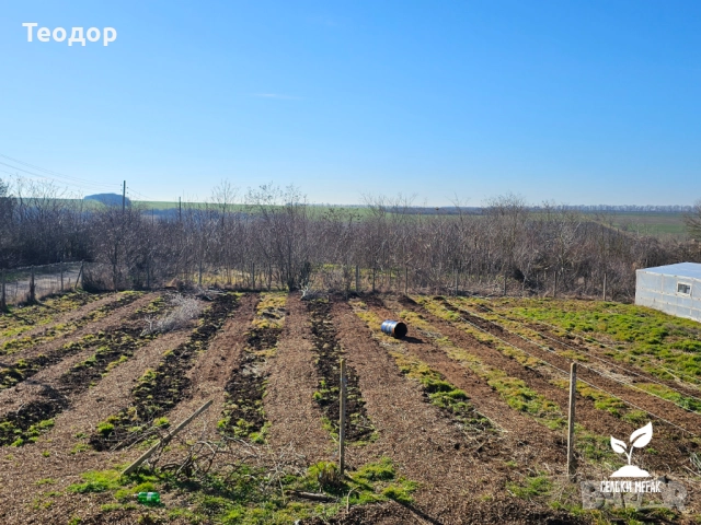 Компостиращ чипс от широколистна дървесина – за градини и овощни площи, снимка 10 - Строителни материали - 52259043