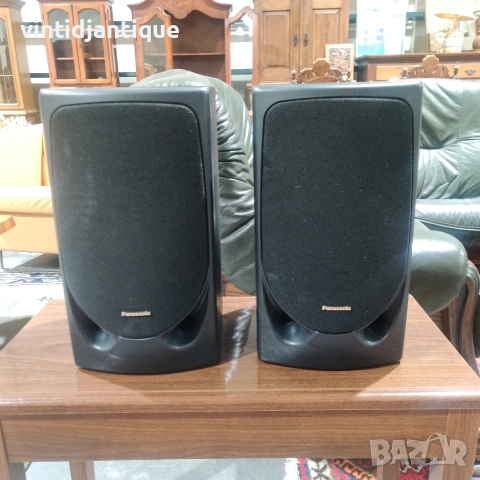 Работеща 2-лентова аудио тонколона Panasonic SB-CH40