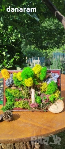 Картини със скандинавски мъх и естествени материали , снимка 5 - Декорация за дома - 44114877