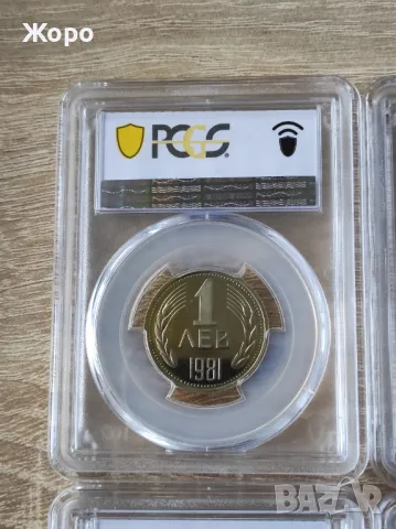 Пълен сет 1981 година България - Мат-гланц (пруф), снимка 3 - Нумизматика и бонистика - 48082608