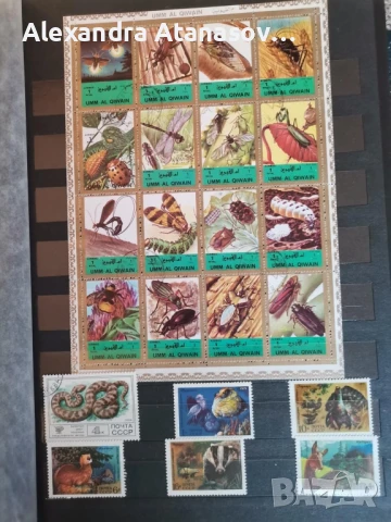 Класьори с пощенски марки, снимка 14 - Филателия - 51156532