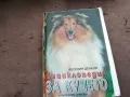 ЕНЦИКЛОПЕДИЯ ЗА КУЧЕТО 0302250911, снимка 3