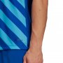 Мъжка Тениска Adidas Entrada HF0116, снимка 7