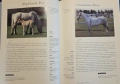 Hamlyn All Colour Guide to Horses, снимка 4