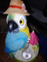 соларен папагал , снимка 1 - Соларни лампи - 44926114
