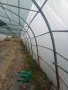 Продавам оранжерия , снимка 3