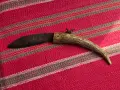 Ножка сойка рог 19 век, снимка 3