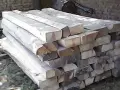 Липа суха трупи/талпи, снимка 2