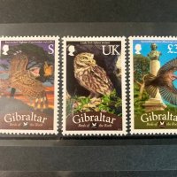 1543. Гибралтар 2012 ~ “ Фауна. Птици от скалите. ” , **, MNH, снимка 1 - Филателия - 40615222